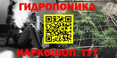шишки Балахна
