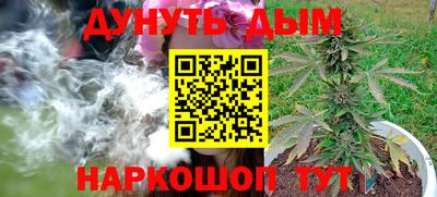 шишки Балахна
