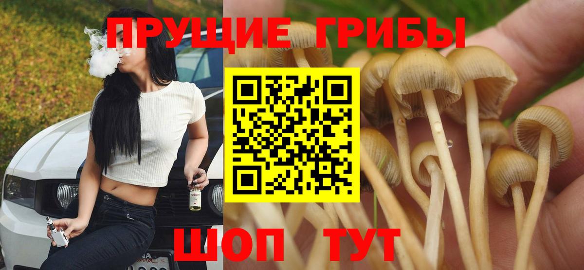 Гудермес  Галлюциногенные грибы Magic Shrooms  Вход с VPN 